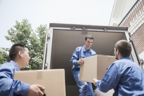 Professional man and van team handling boxes and furniture